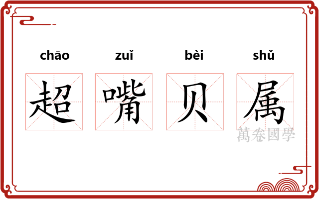 超嘴贝属