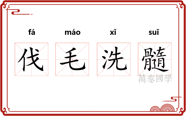 伐毛洗髓