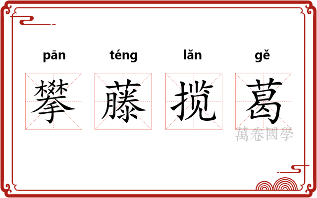 攀藤揽葛 攀藤揽葛
