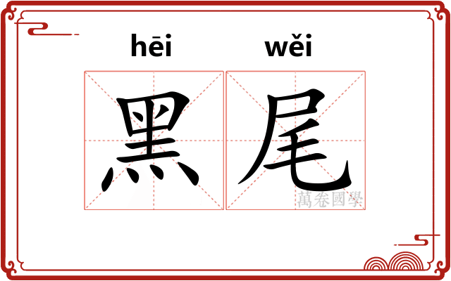 黑尾
