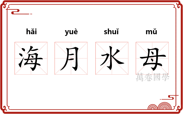 海月水母 海月水母