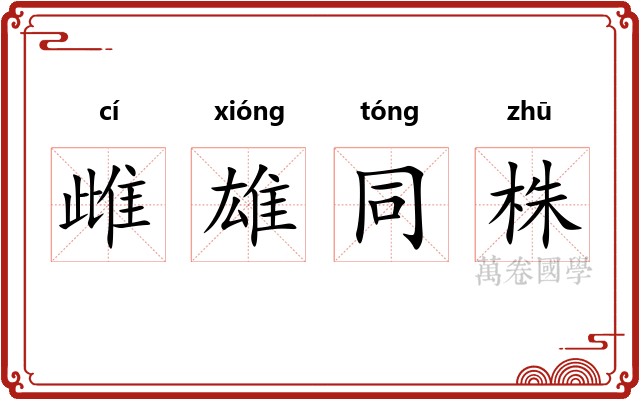 雌雄同株