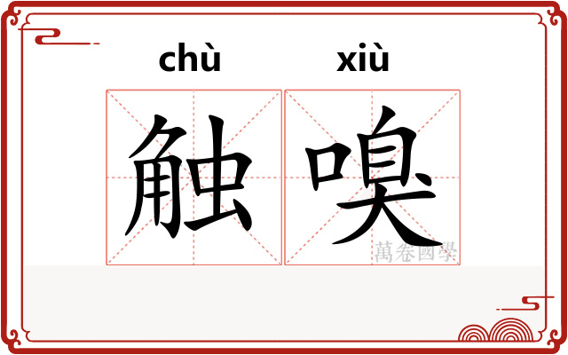 触嗅