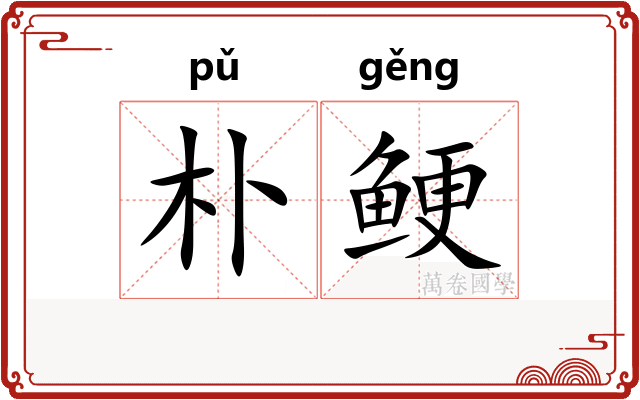 朴鲠