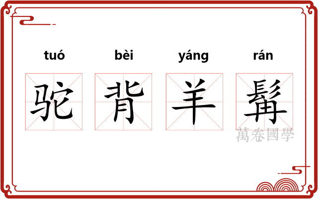 驼背羊髯