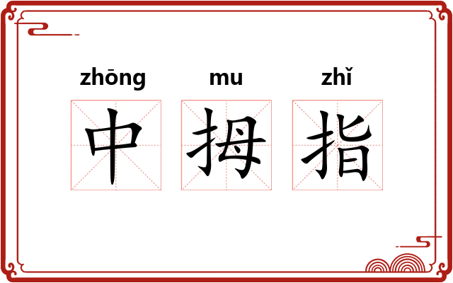中拇指