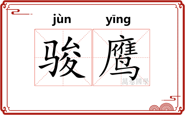 骏鹰