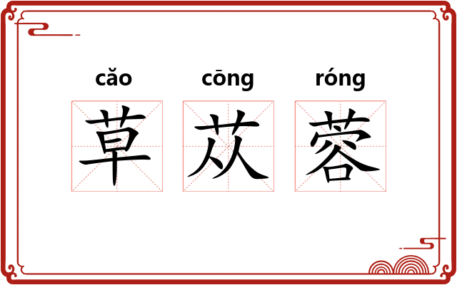 草苁蓉 草苁蓉