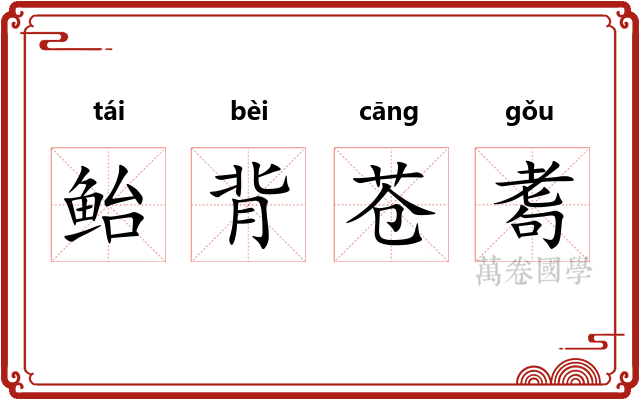 鲐背苍耈