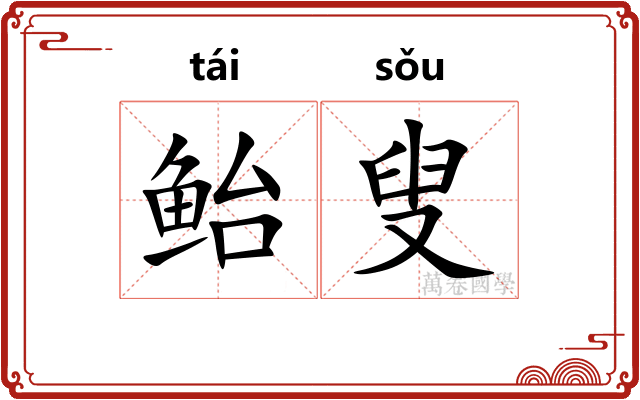 鲐叟