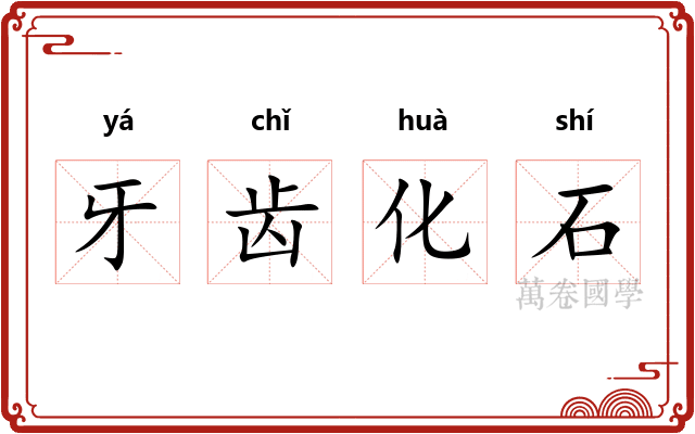 牙齿化石