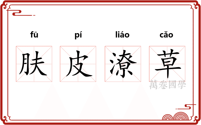 肤皮潦草