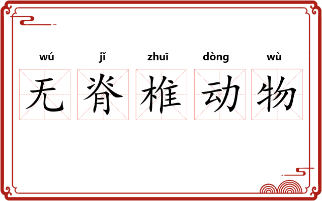 无脊椎动物 无脊椎动物