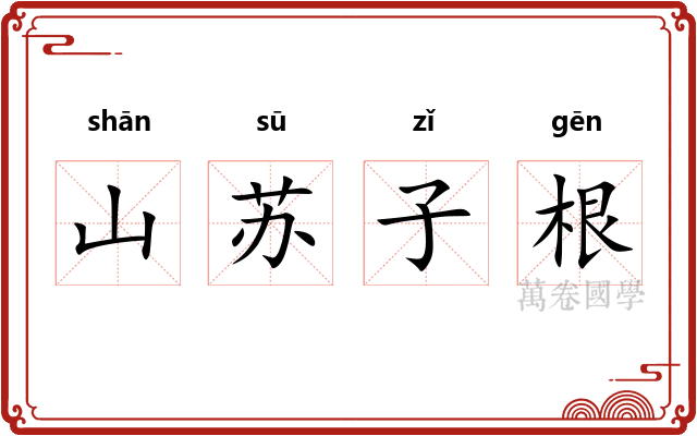 山苏子根