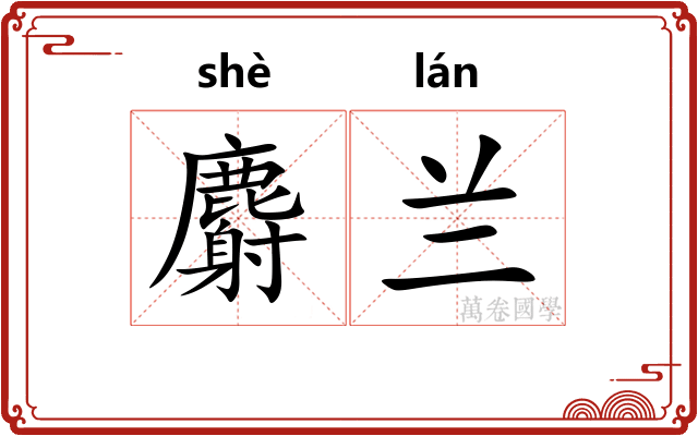 麝兰 麝兰