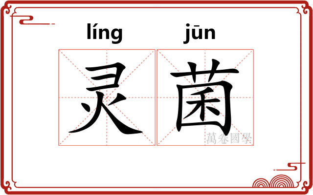 灵菌