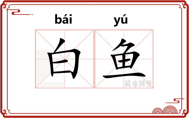 白鱼