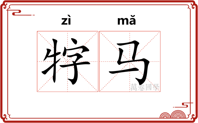 牸马