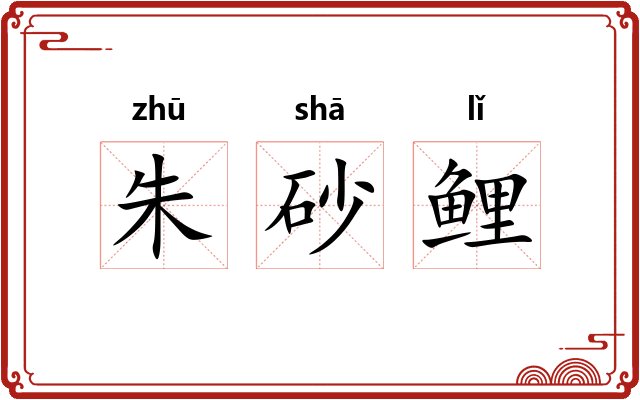 朱砂鲤