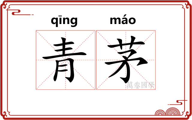 青茅