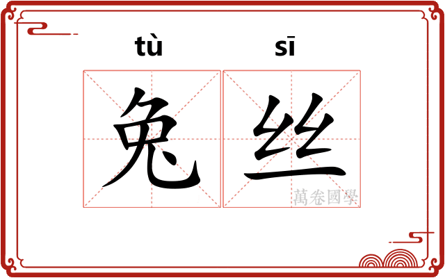 兔丝 兔丝