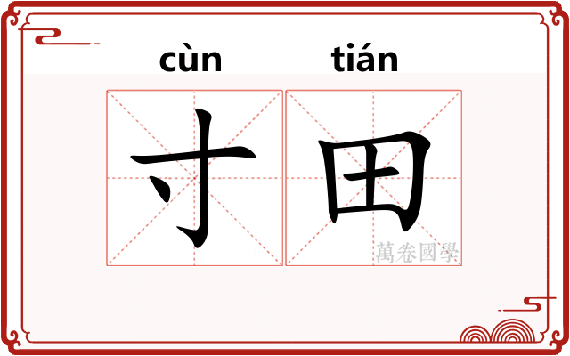 寸田