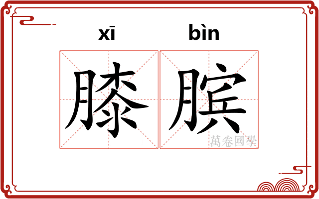 膝膑