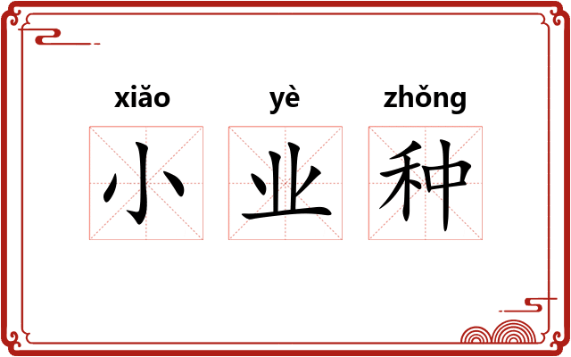 小业种 小业种