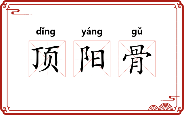 顶阳骨