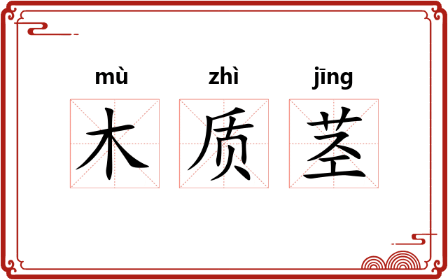 木质茎