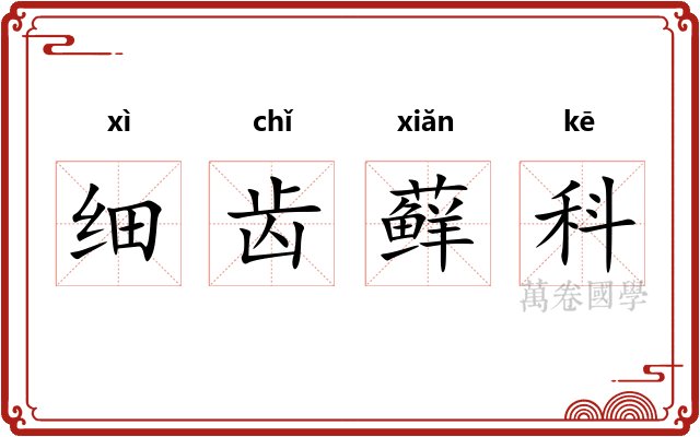 细齿藓科