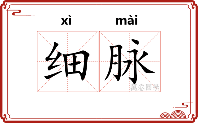 细脉 细脉