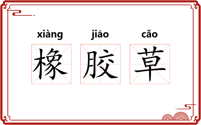 橡胶草