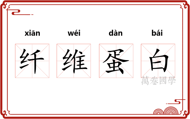 纤维蛋白