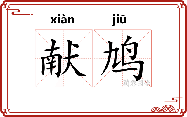 献鸠