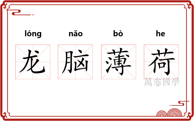 龙脑薄荷