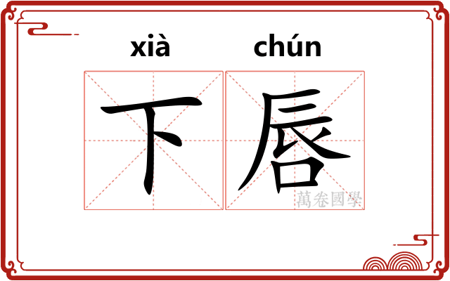 下唇