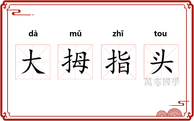 大拇指头