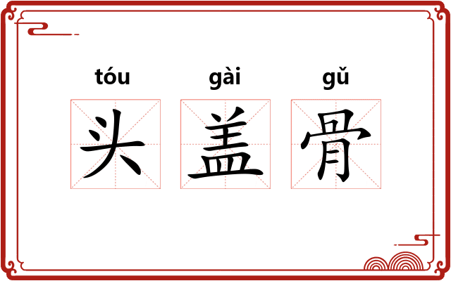 头盖骨
