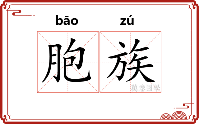 胞族 胞族