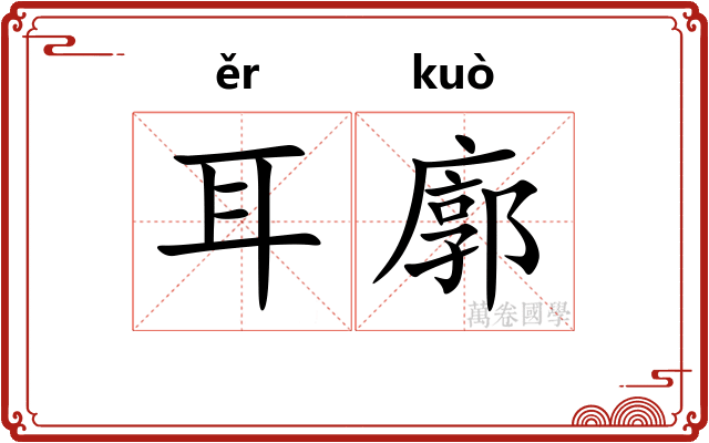 耳廓