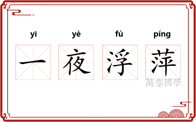 一夜浮萍