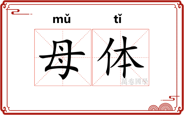 母体