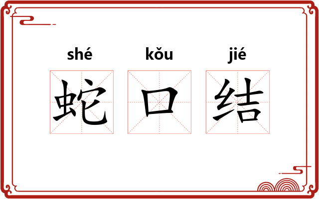 蛇口结 蛇口结