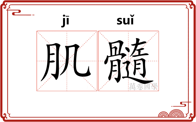 肌髓