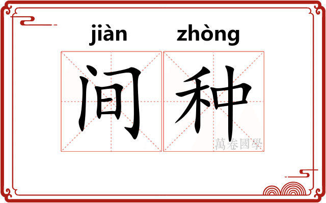 间种 间种