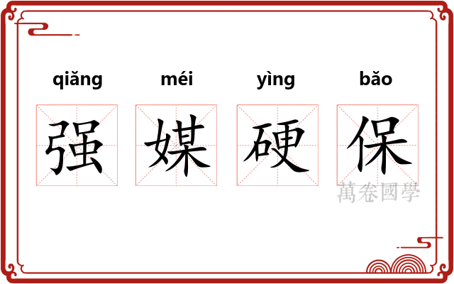 强媒硬保