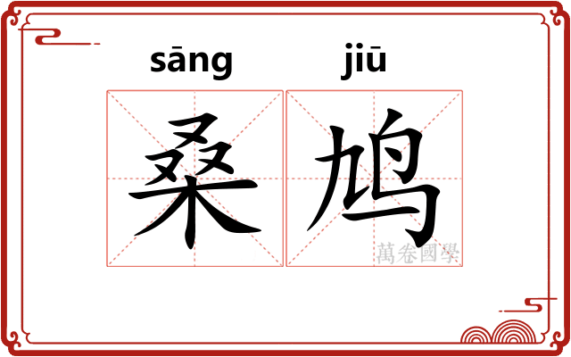 桑鸠