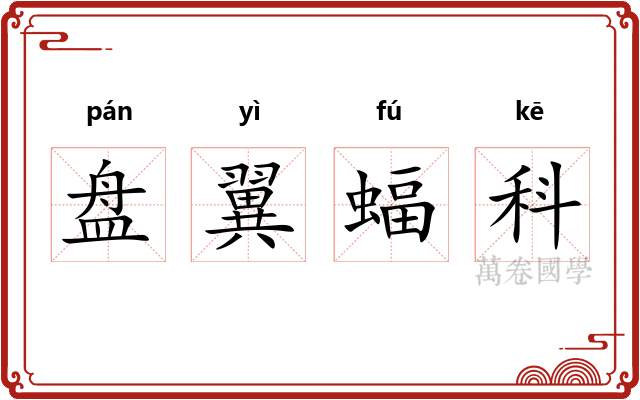 盘翼蝠科