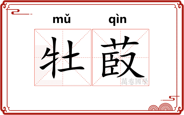 牡菣